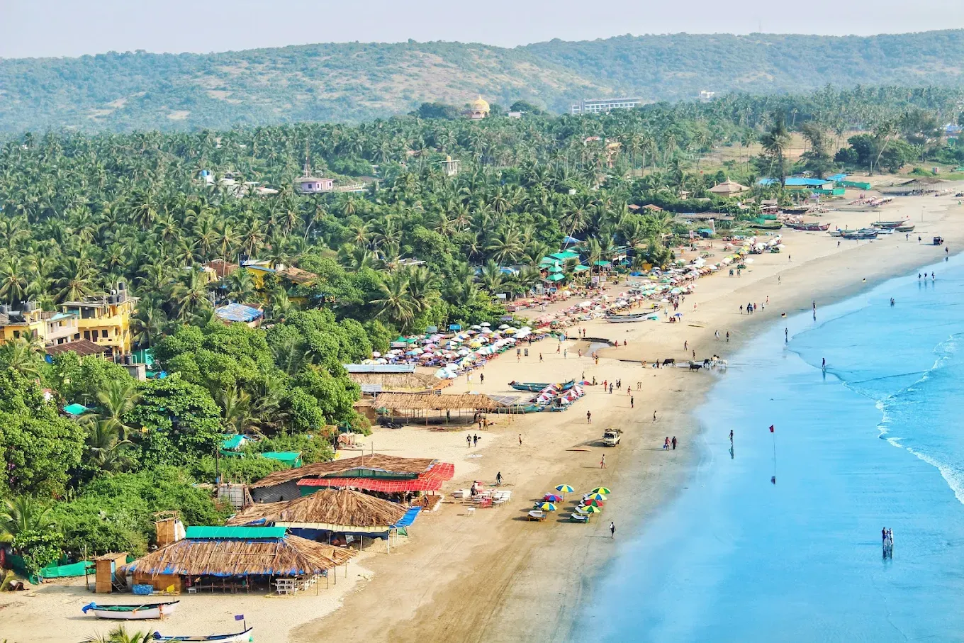 Goa